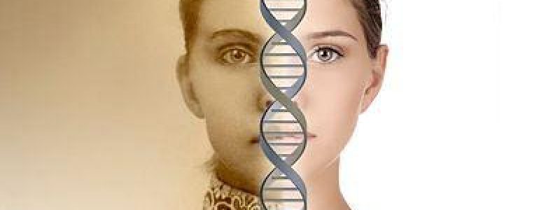 Los genes conservan la memoria de nuestros antepasados.